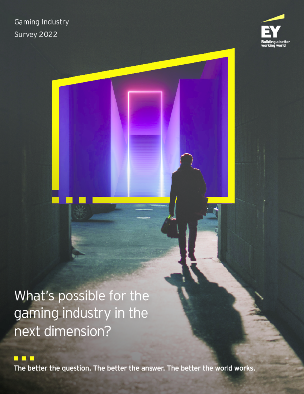 2022年游戏市场报告（EN）